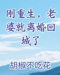 刚重生，老婆就离婚回城了