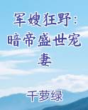 军嫂狂野：暗帝盛世宠妻