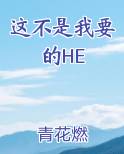 这不是我要的HE