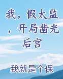 我，假太监，开局凿光后宫