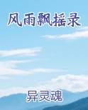 风雨飘摇录