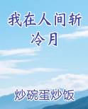 我在人间斩冷月