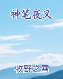 神笔夜叉TXT小说
