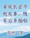 穿成长官早逝发妻，随军后多胎啦