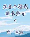 在各个游戏副本当npc小说全文免费阅读